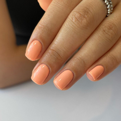 Sweet Apricot #619